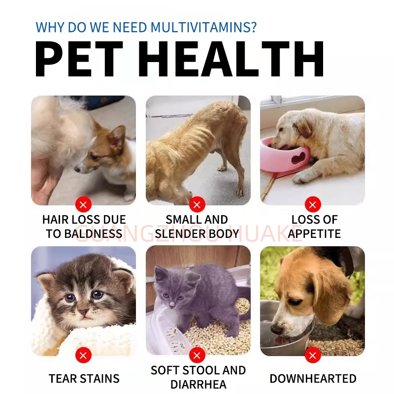 FDA-Certified Antioxidant Chews for Pet Health and Longevity