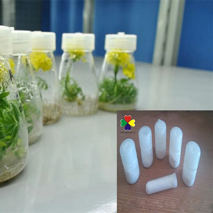 Plant Growth Regulator