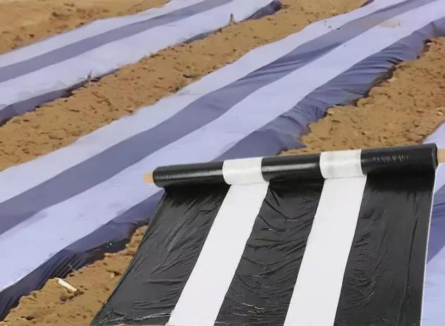 Black and white mulching film