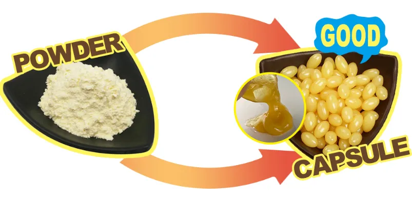 Royal Jelly Benefits