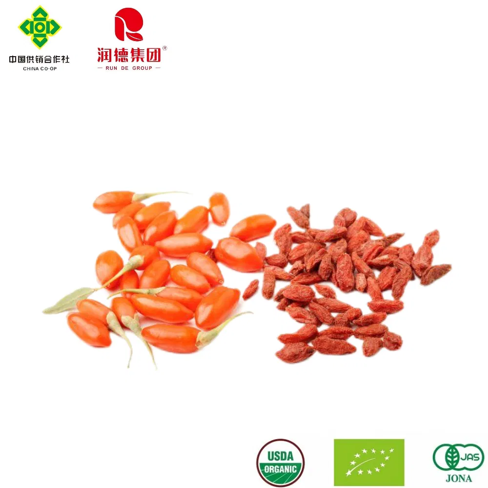 Premium Organic Goji Berries for a Balanced Healthy Lifestyle