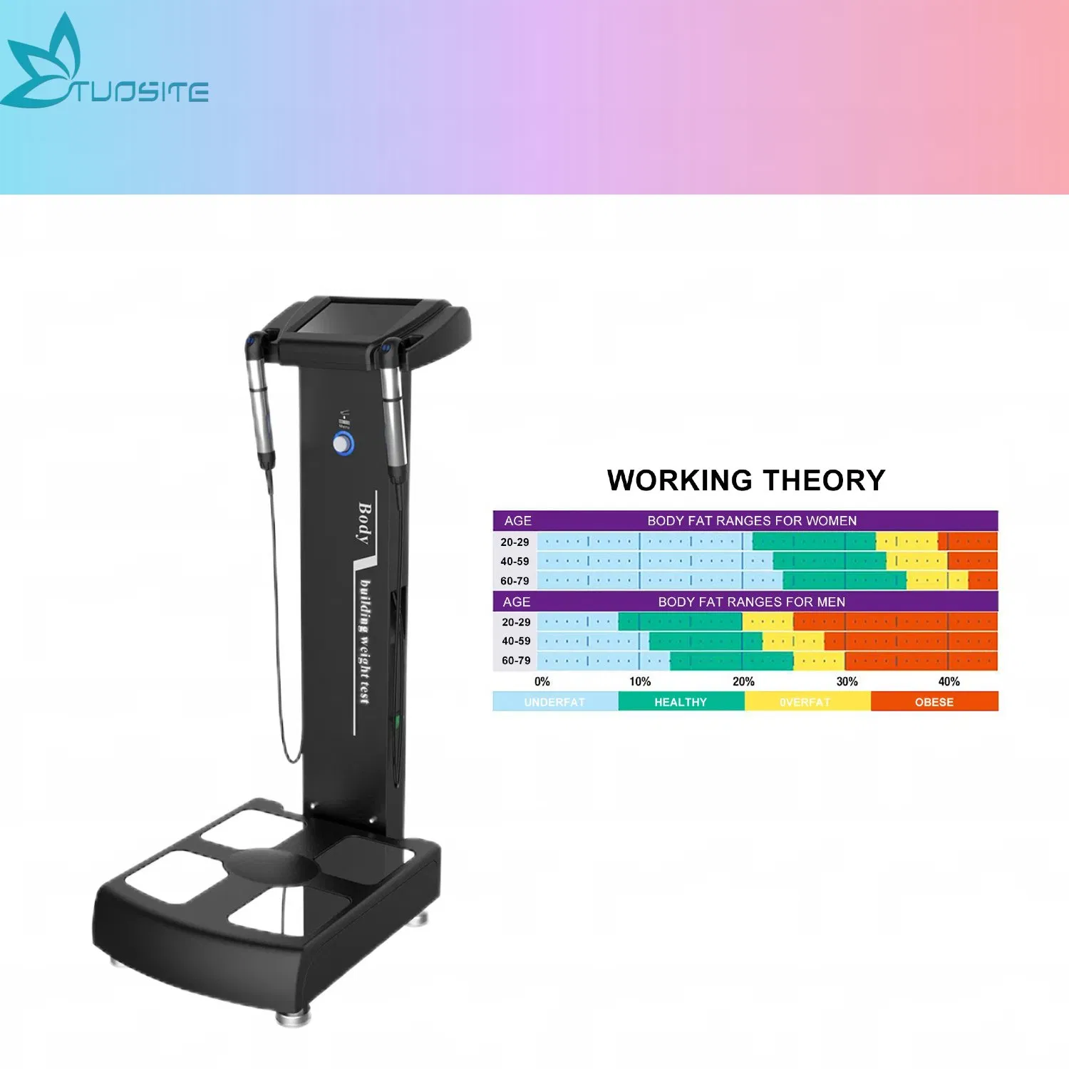 Digital Quantum Human Body Composition Fat Analyzer Scale Machine 3dfull Body Scan Health Weight Elements Analyzing Laser Machine Price