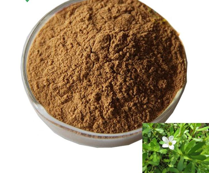 Organic Mental Health &amp; Memory Support Capsule Bacopa Monnieri Extract