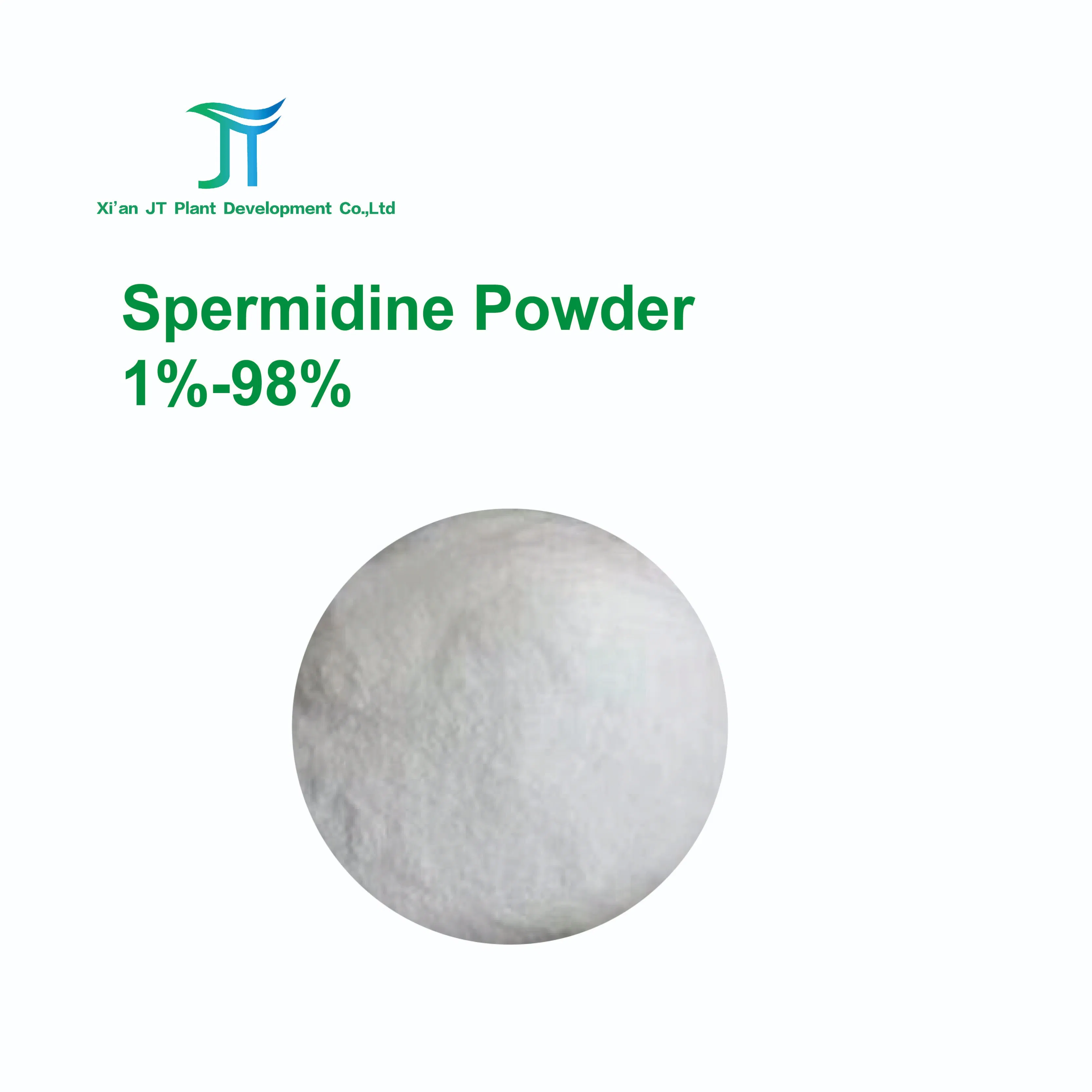 Premium Spermidine Powder for Cellular Health and Longevity