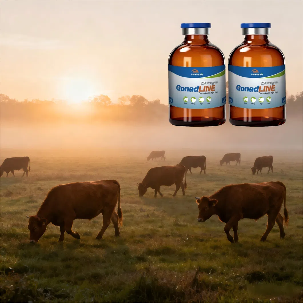 Animal Hormone Regulation 2