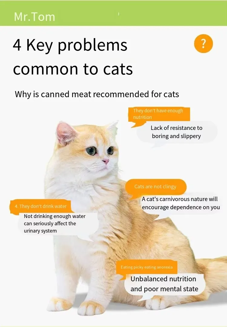 Cat Food Details