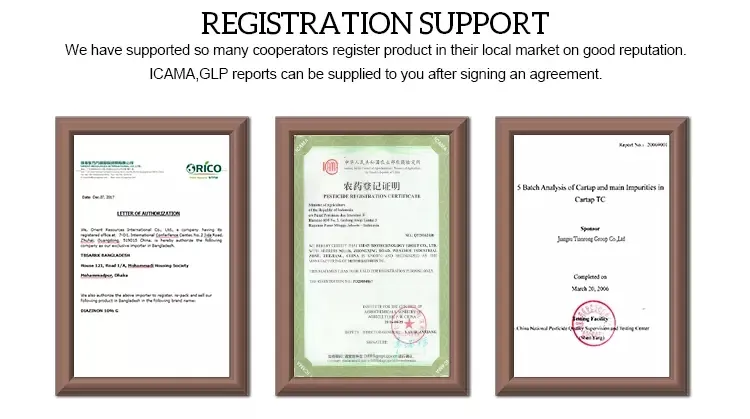 trans-Zeatin details