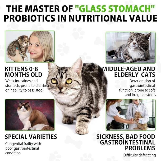 OEM Natural Gut Health Drops for Cat Constipation Relief