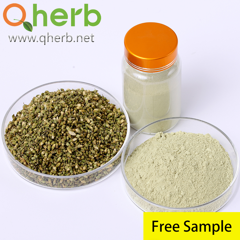 Health Food Scphora Japonica Extract Troxerutin