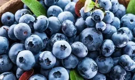 Ingredient Application