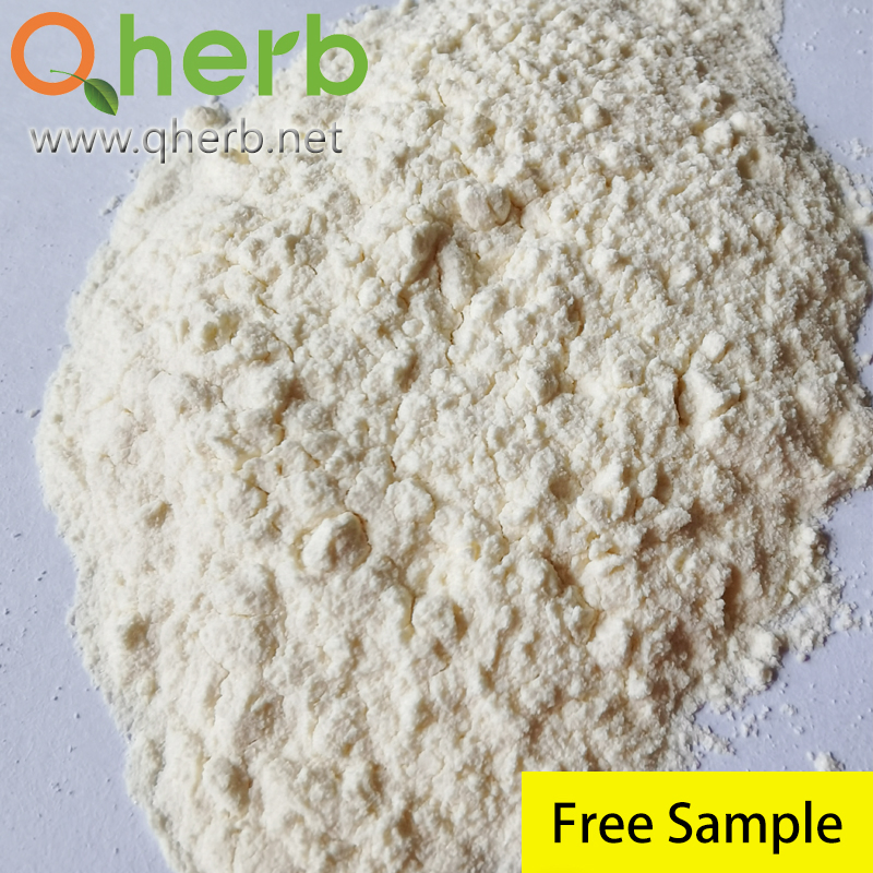 Total Ginsenosides 75% HPLC Radix Notoginseng Extract Cp2020 for Anti-Pain