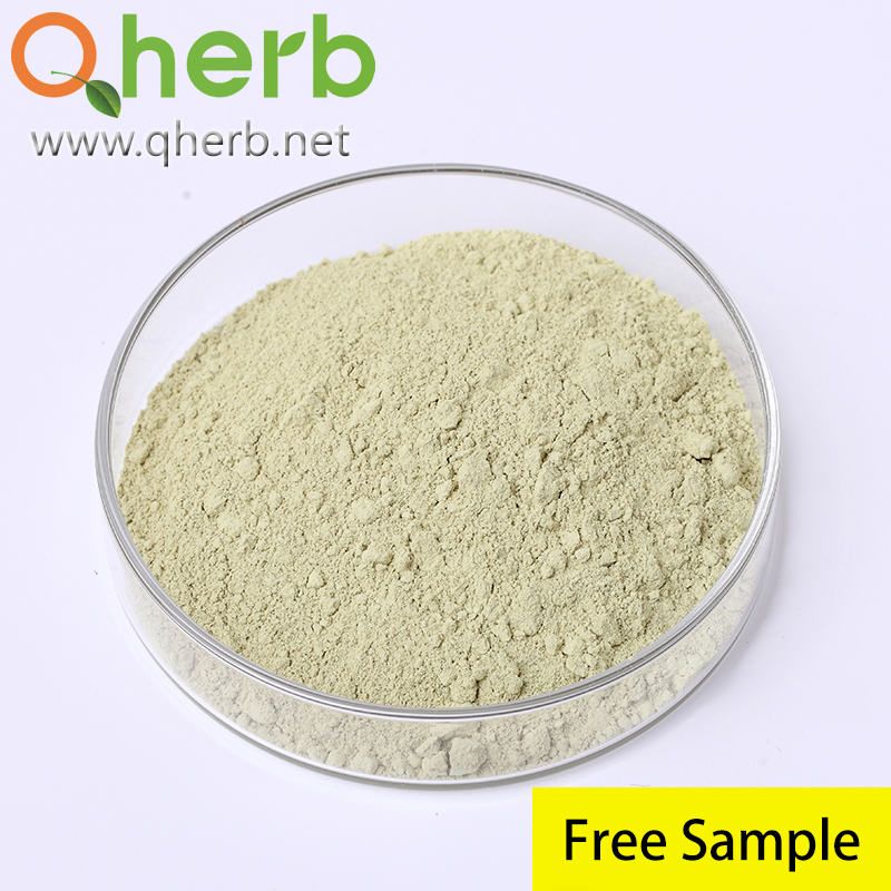 Health Food Scphora Japonica Extract Troxerutin