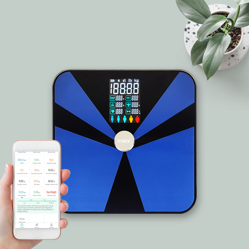 Smart Bathroom Scale Large Va display Body Fat Scale with ITO Glass Heart Rate Digital Health Scale