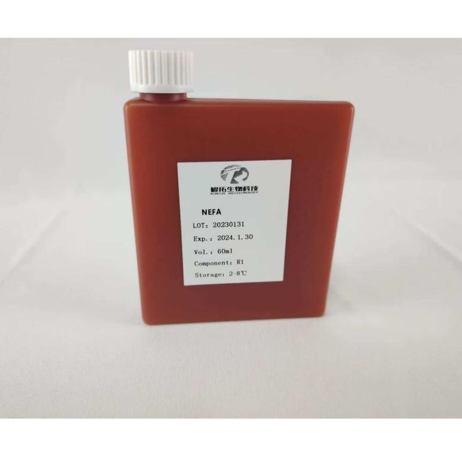 Precision Nefa Assay Kits for Advanced Metabolic Health Research