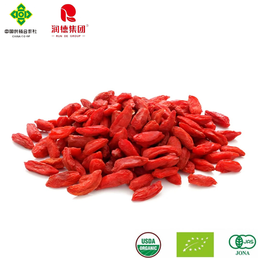 Organic Goji Berries Wholesale Supply for Healthy Lifestyle Choices