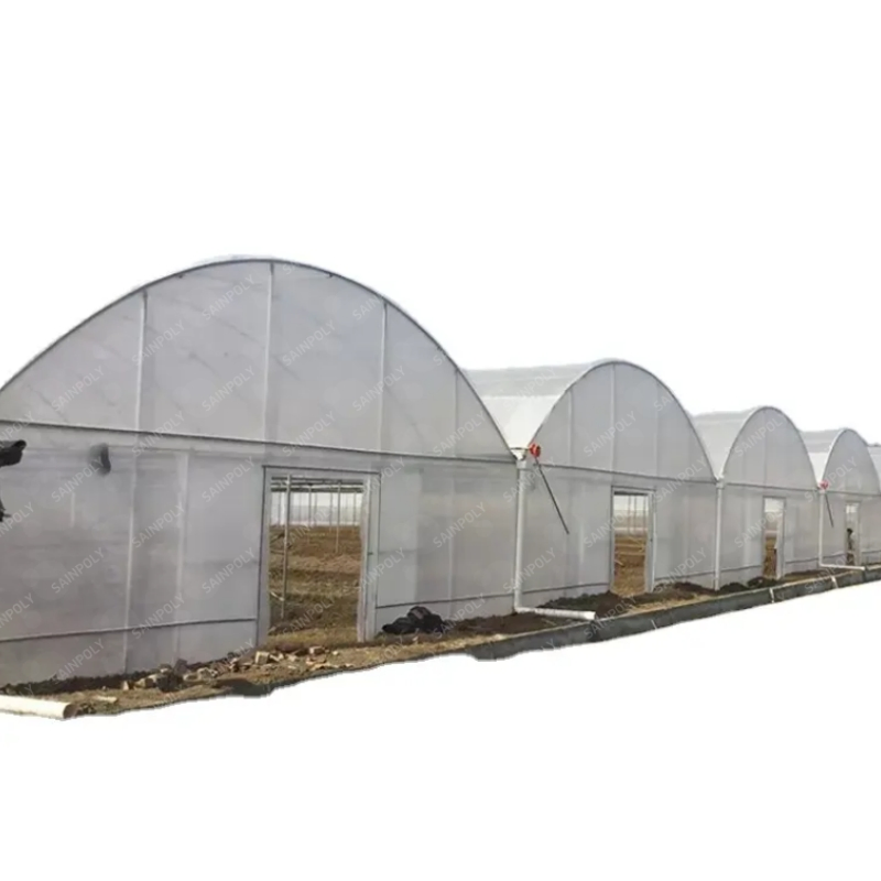 Modern High-Performance Irrigation&Hydroponics Equipment Multi Span Film Greenhouse