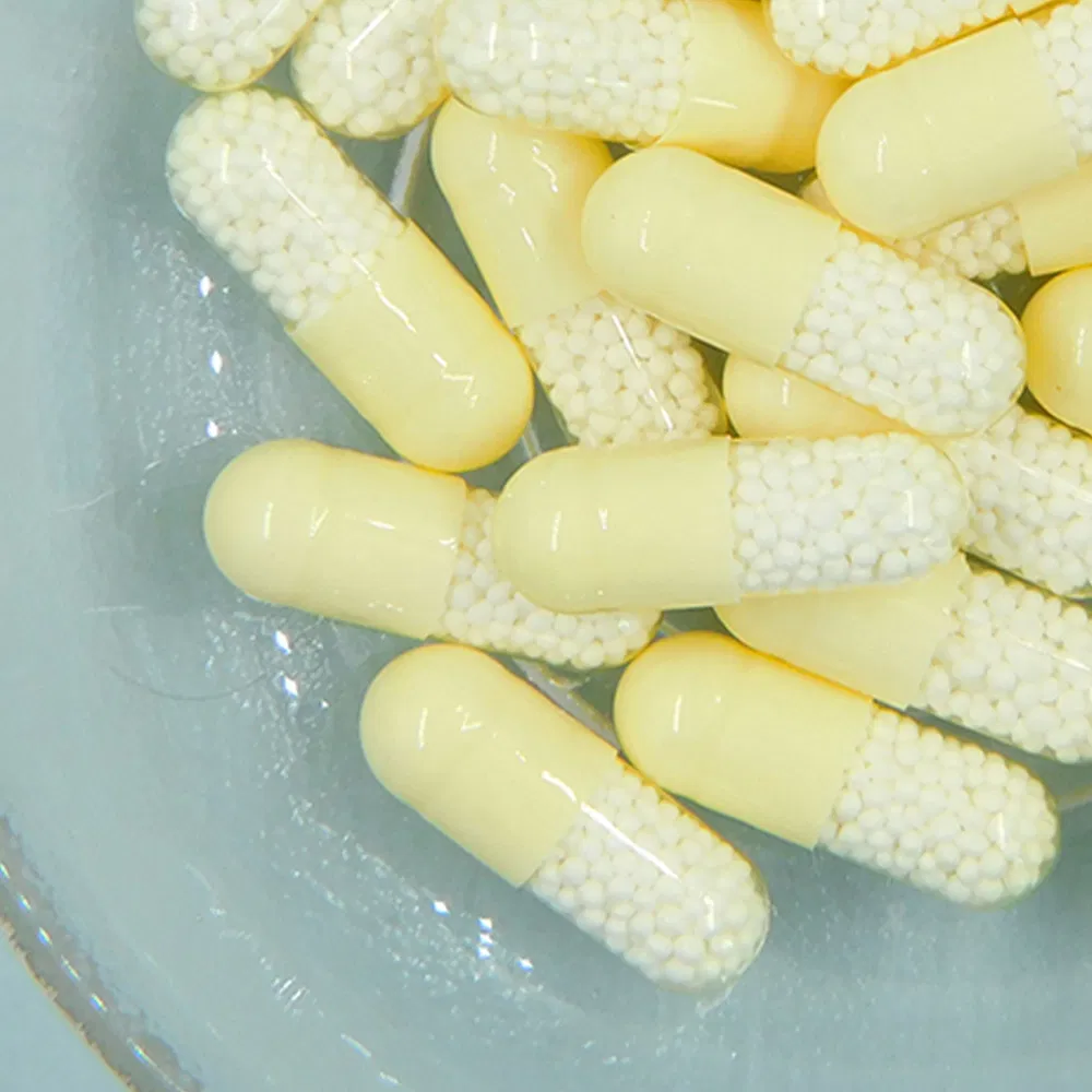 Health Food Mental &amp; Physical Stamina Chronic Fatigue Fighter