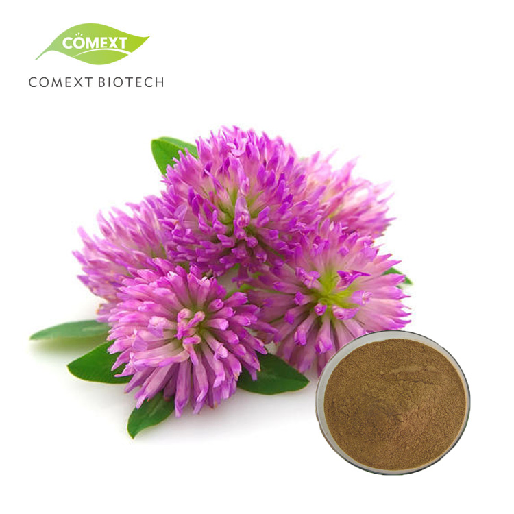 Comext Halal Kosher Factory Price Fast Delivery 100% Natural Isoflavone Red Clover Extract for Women Health