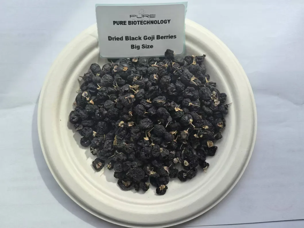 Superfood Dark Purple Goji Berries