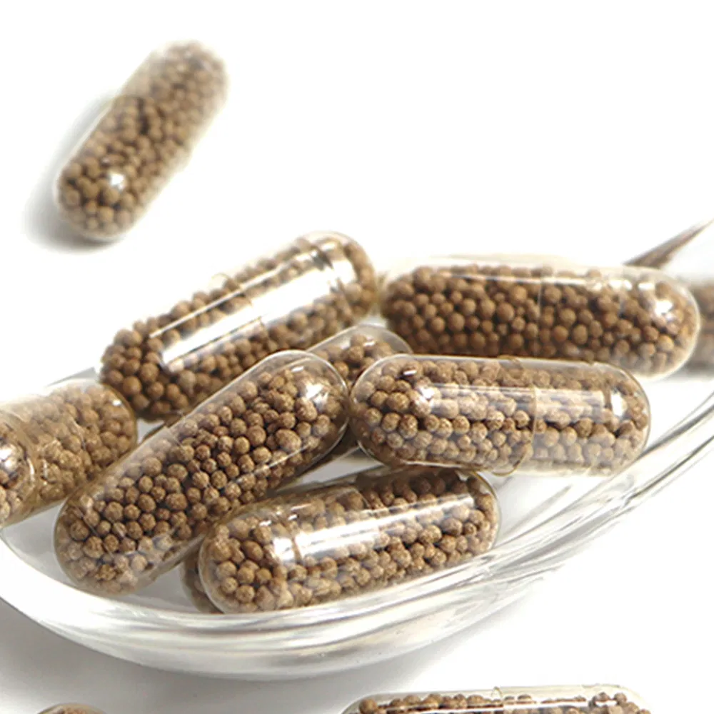 Inflammation Control Longevity Foundation Health Food