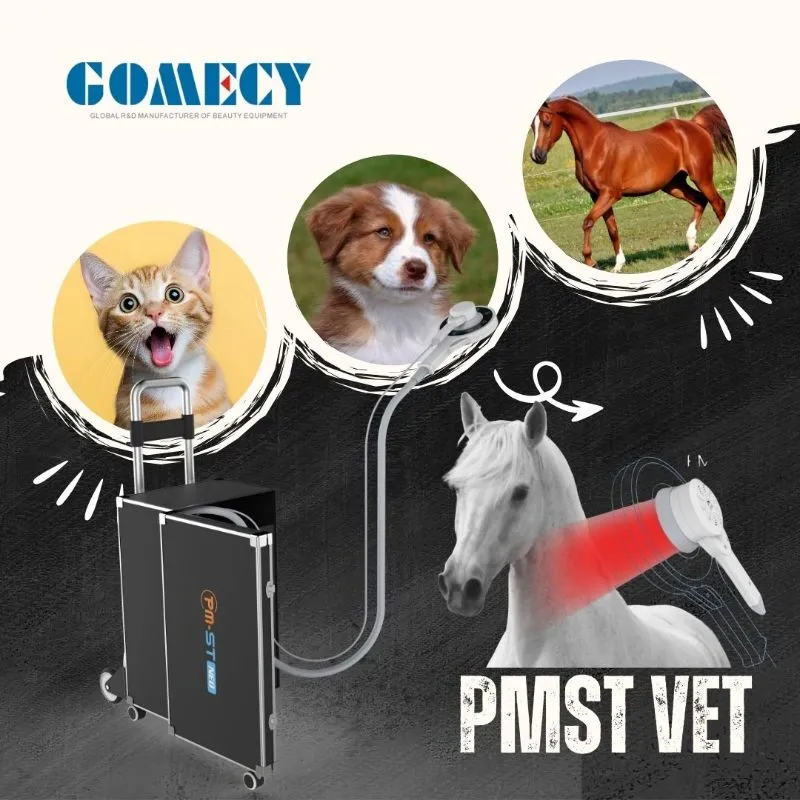 PMST VET Device