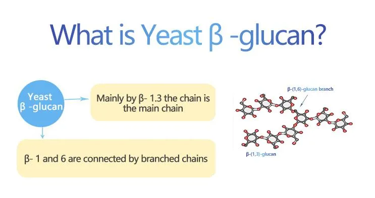 Yeast Beta-Glucan G70