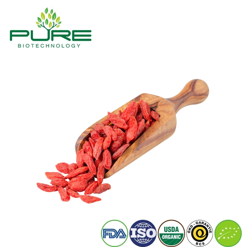 Nutrient-Rich Organic Goji Berries for Global Health Distributors