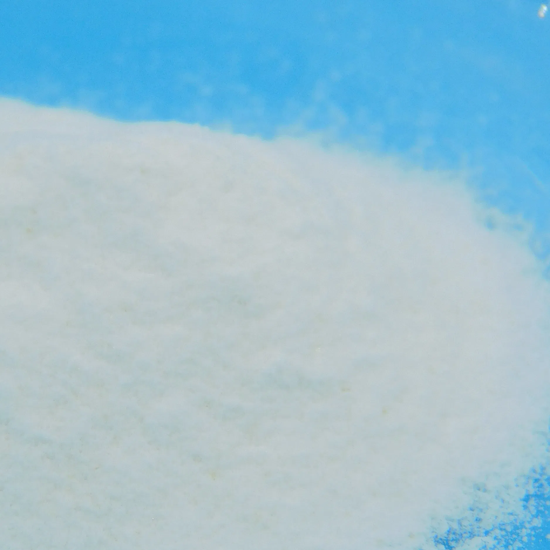 Premium Probiotic Blend for Enhanced Gut Health and Immunity Suplementos Nutricionais