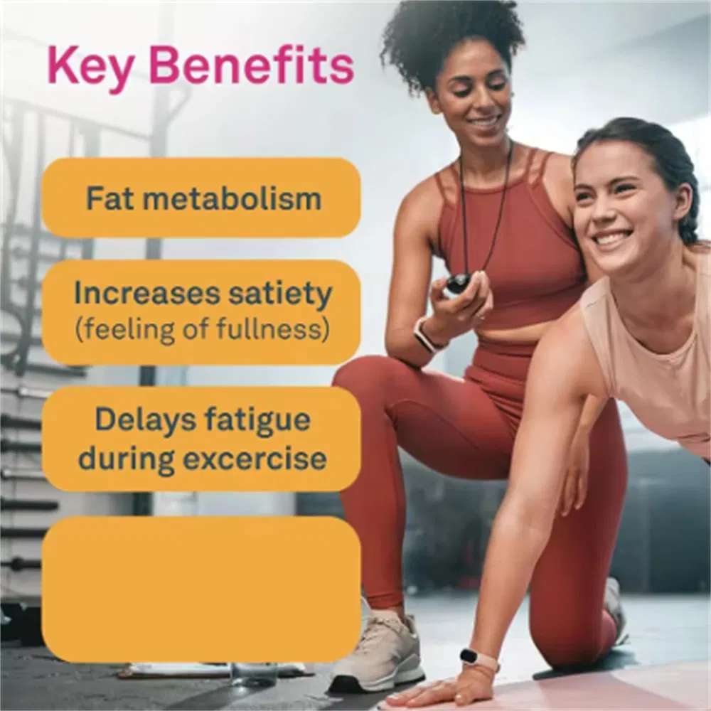 OEM Premium L-Carnitine Powder for Support Weight Loss and Metabolic Health