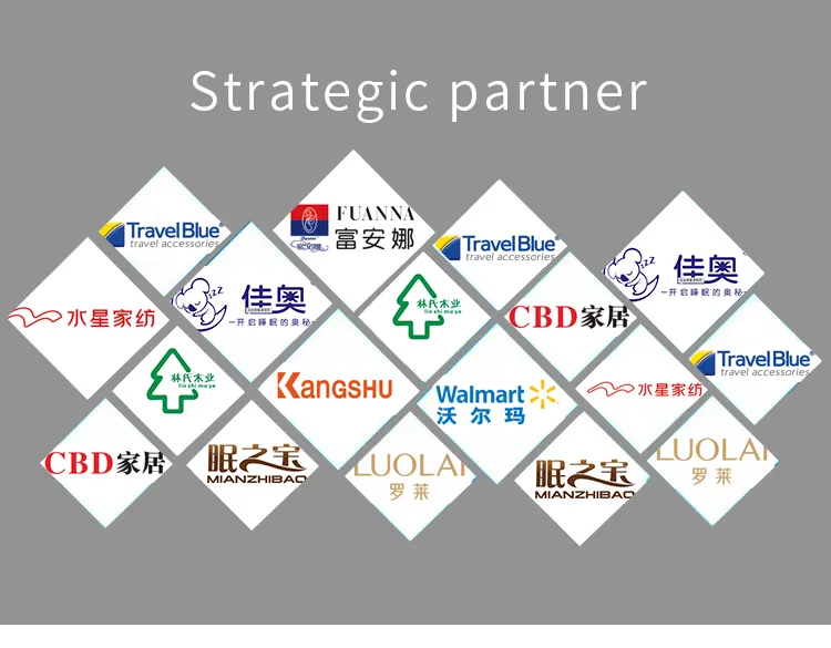 Memory Foam Pillow Detail