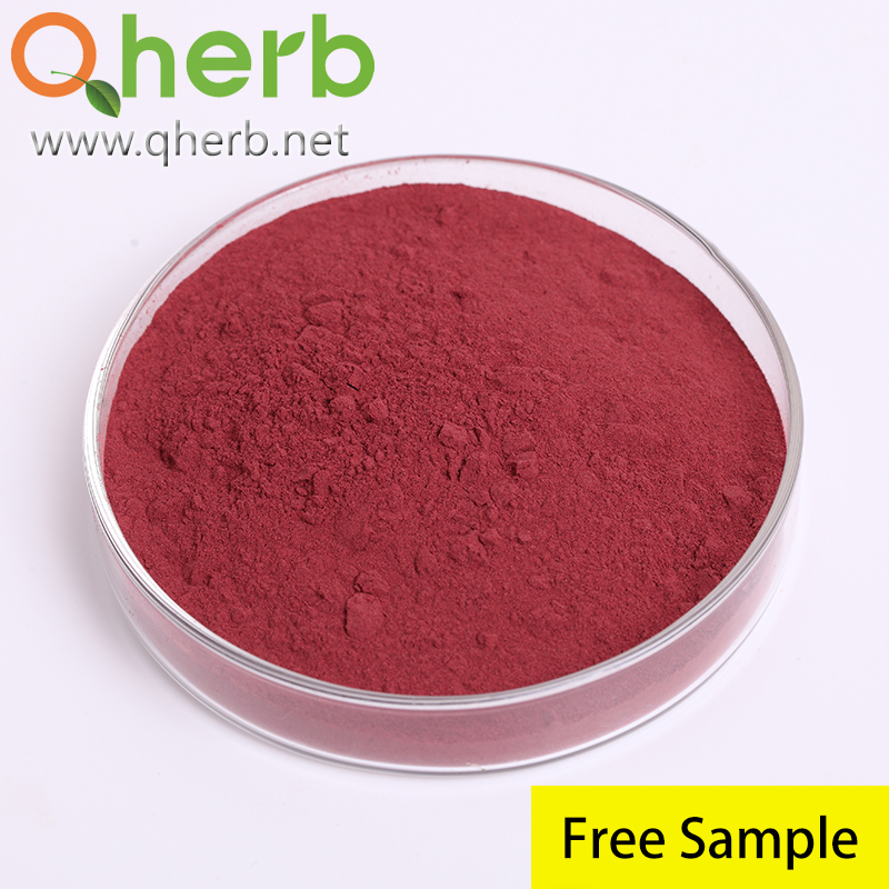 Monascus Purpureus Red Yeast Rice Extract Powder/Natural Lovastatin1% CAS 75330-75-5