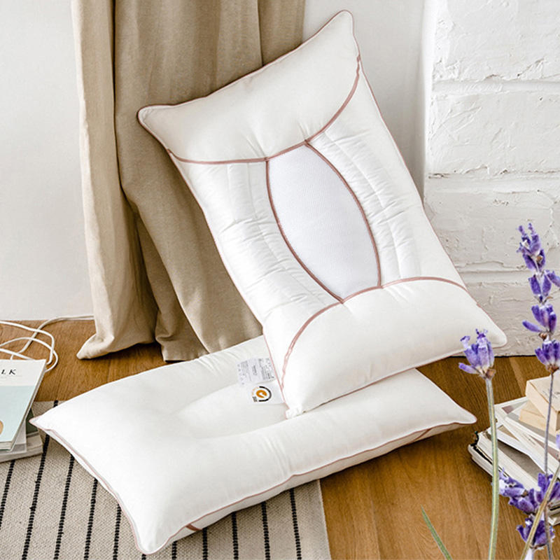 Wholesale Cassia Seed Health Care Pillow Soft Comfortable Neck Protector Sleep Pillow Core