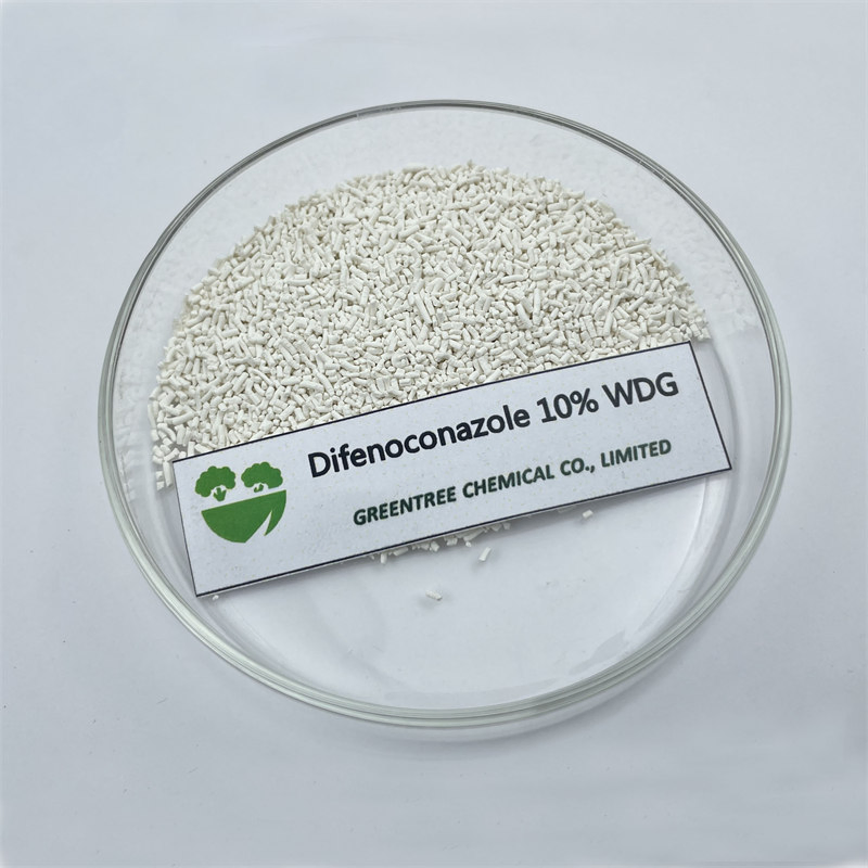 Professional-Grade Preventive Action Fungicide Difenoconazole 10% Wdg for Plant Health