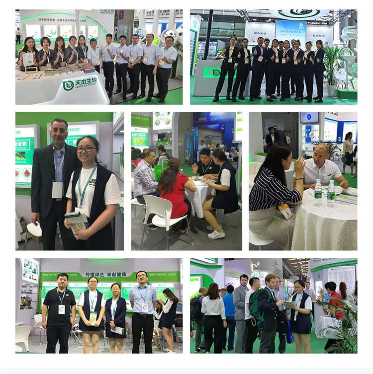 Production Standards