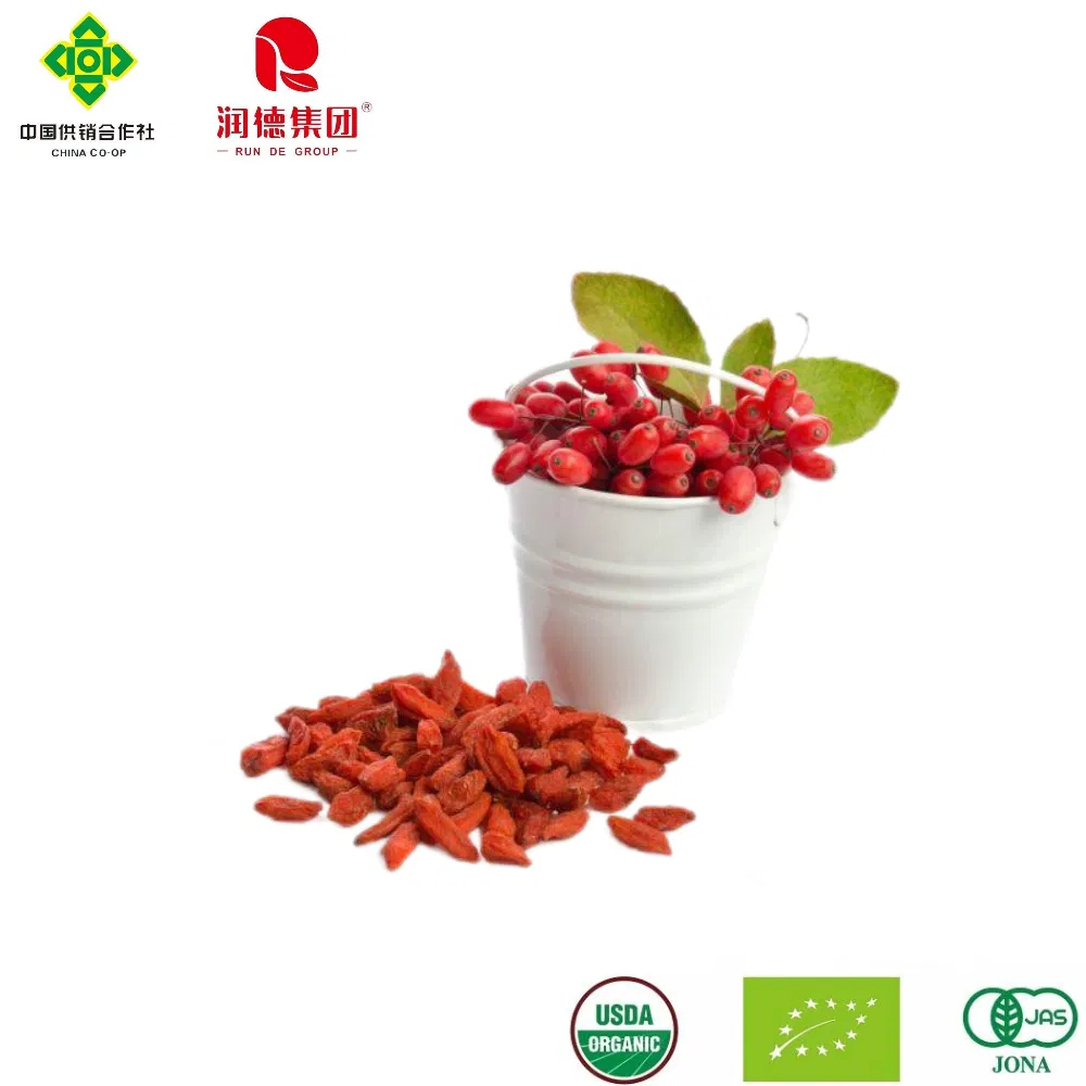 Top Quality Dried Wolfberry for a Vibrant Healthy Lifestyle