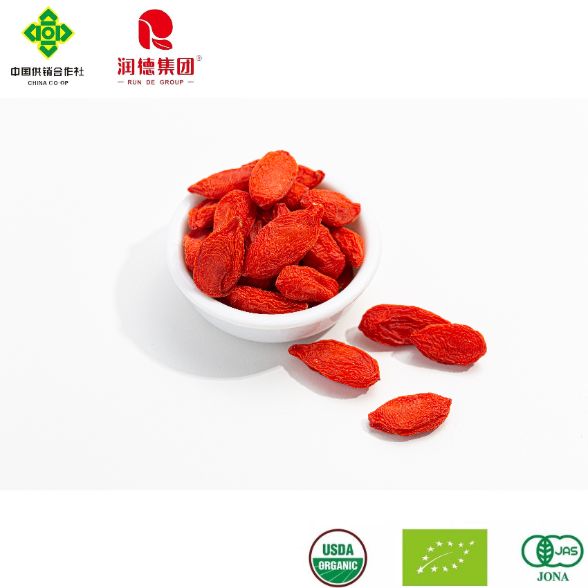 Wholesale Organic Goji Berries for Healthy Lifestyle and Wellness