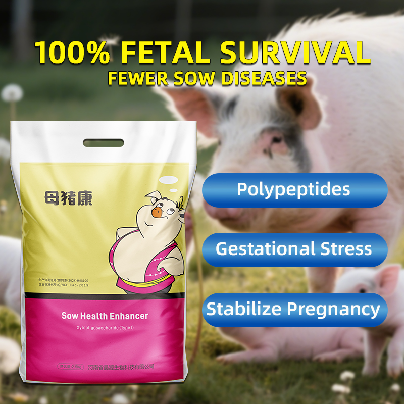 Sow Health Enhancer: Feed Additives Strengthens Vitality Supports Metabolic Health