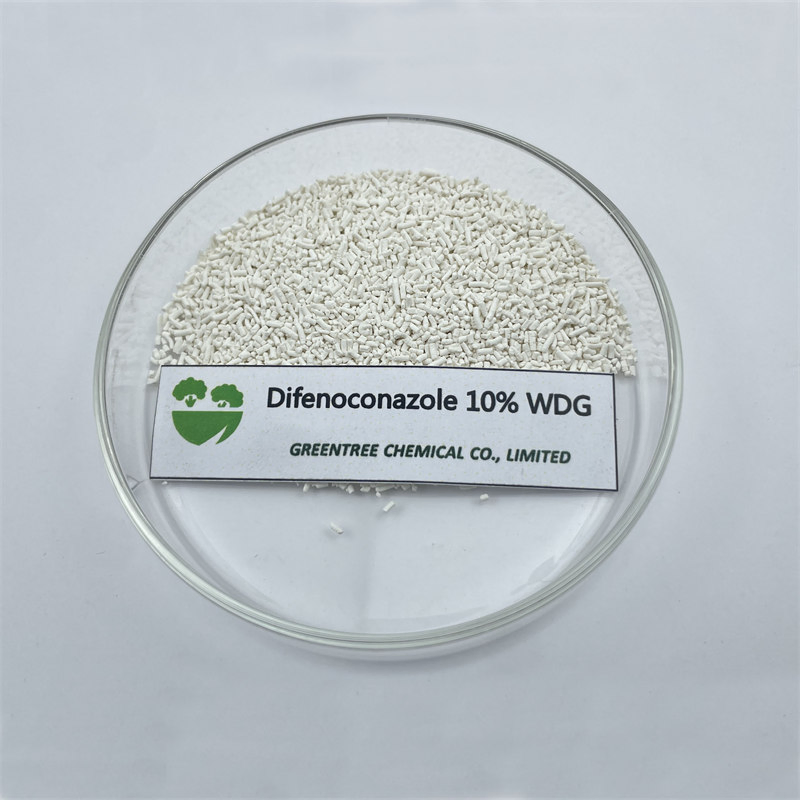 Professional-Grade Preventive Action Fungicide Difenoconazole 10% Wdg for Plant Health