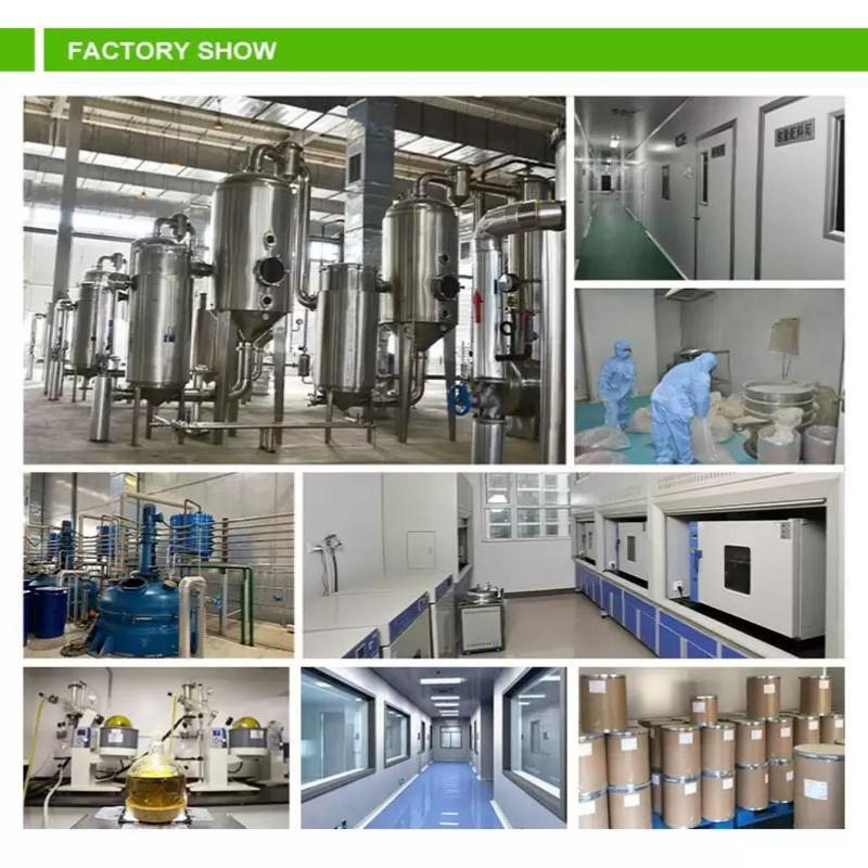 Comext Food Grade Factory Direct Vitamin K1 1% for Functional Food