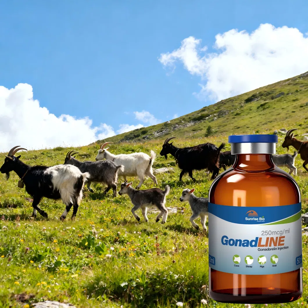 Animal Hormone Regulation 3