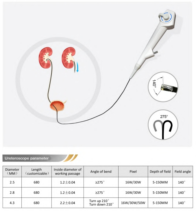 Telehealth Endoscopy System Ureteroscope Flexible Ureteroscope