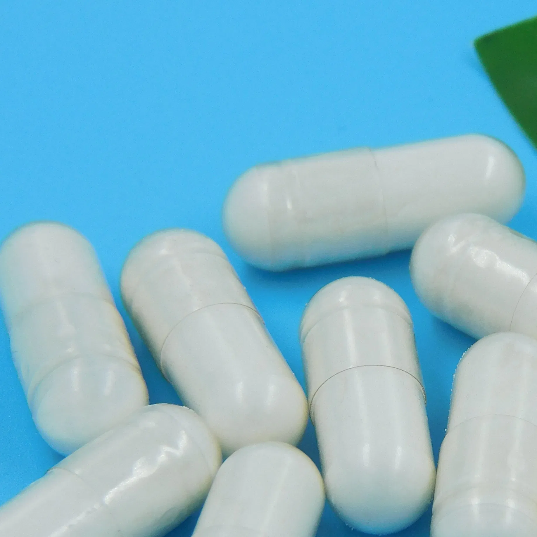 Premium Probiotic Blend for Enhanced Gut Health and Immunity Suplementos Nutricionais