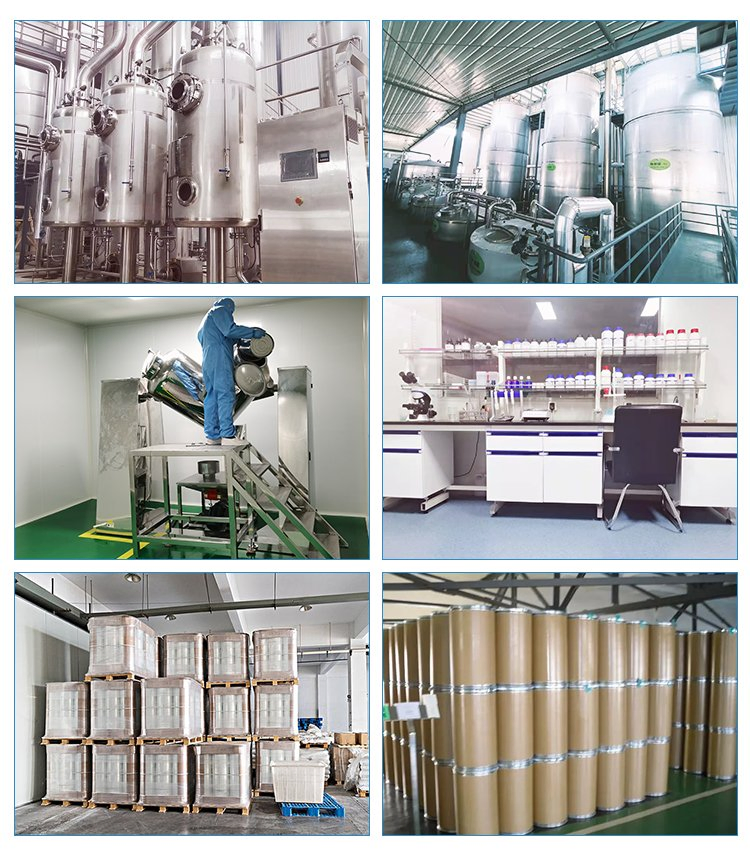 Feed Grade Yeast Beta-Glucan G70, GMP+ Fsa Certified Gut-Health Booster