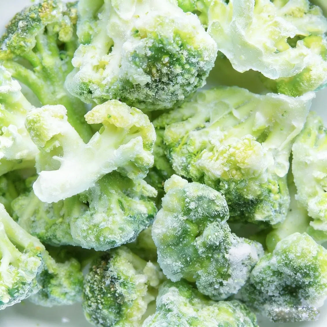 Health Conscious Consumer Demographics Seeking Pure Vegetable Ingredients with Global Shipping Compliance Support Pesticide Free Broccoli