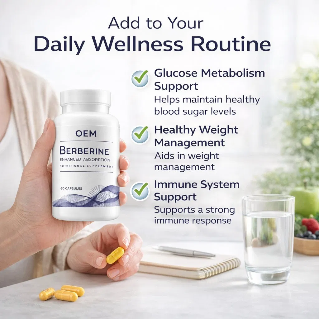 Premium Berberine Capsules Metabolic Health and Blood Sugar Balance Support