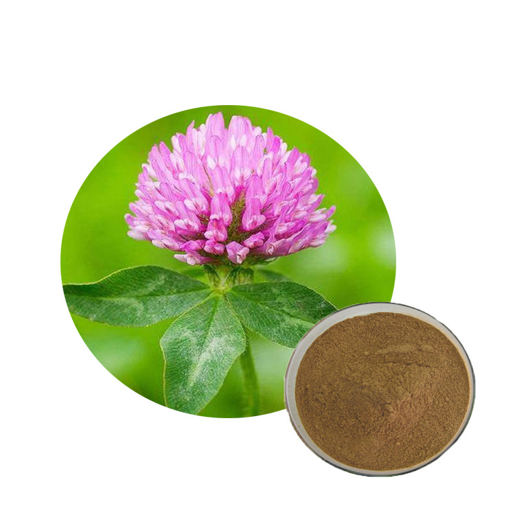 Comext Halal Kosher Factory Price Fast Delivery 100% Natural Isoflavone Red Clover Extract for Women Health