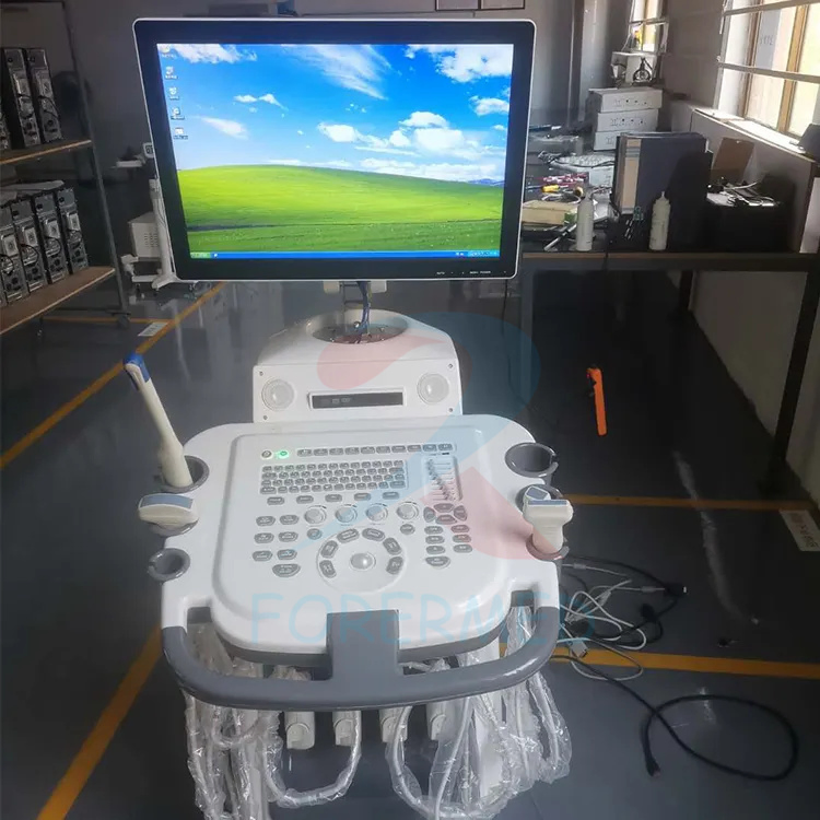 4D Trolley Digital Color Doppler Women′ S Health Portable Ultrasound Scanner