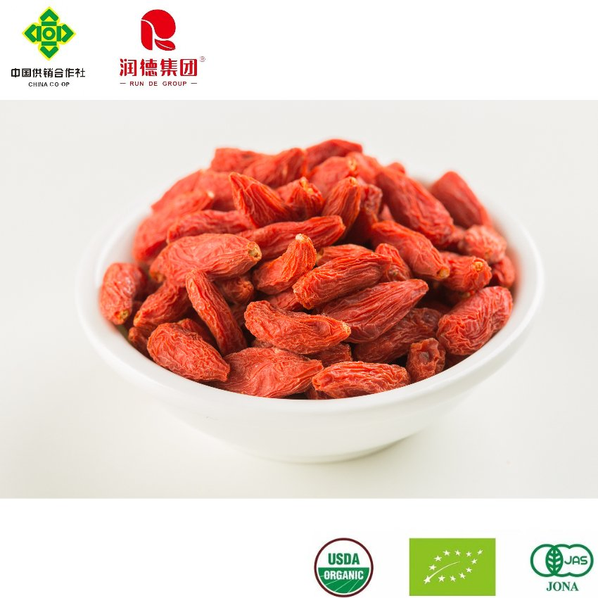 Organic Goji Berries Wholesale Supply for Healthy Lifestyle Choices