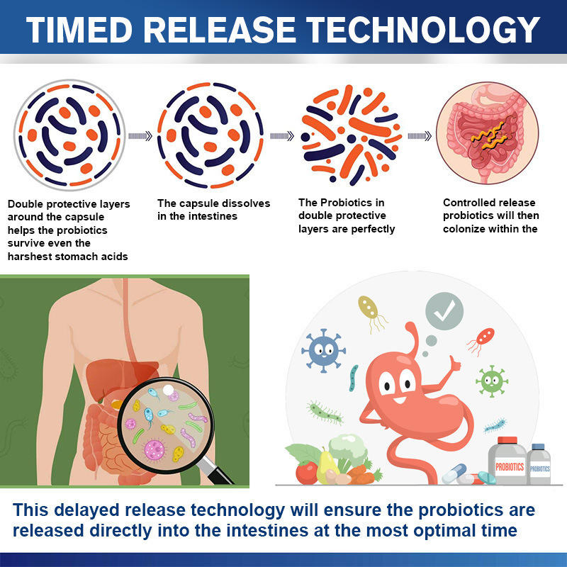 in Stock Probiotics 300 Billion Cfu Capsule Immune Digestive Gut Health