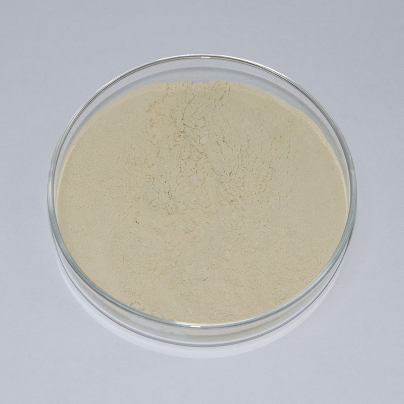 Total Ginsenosides 75% HPLC Radix Notoginseng Extract Cp2020 for Anti-Pain